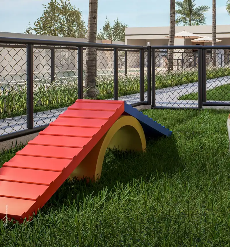 Pet play com brinquedos para cães